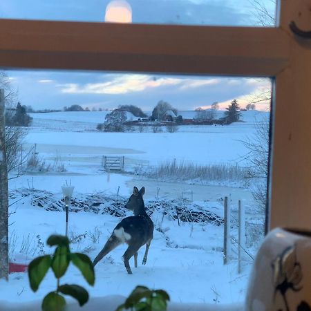 Vinkelgaard Leilighet Ringsted Eksteriør bilde