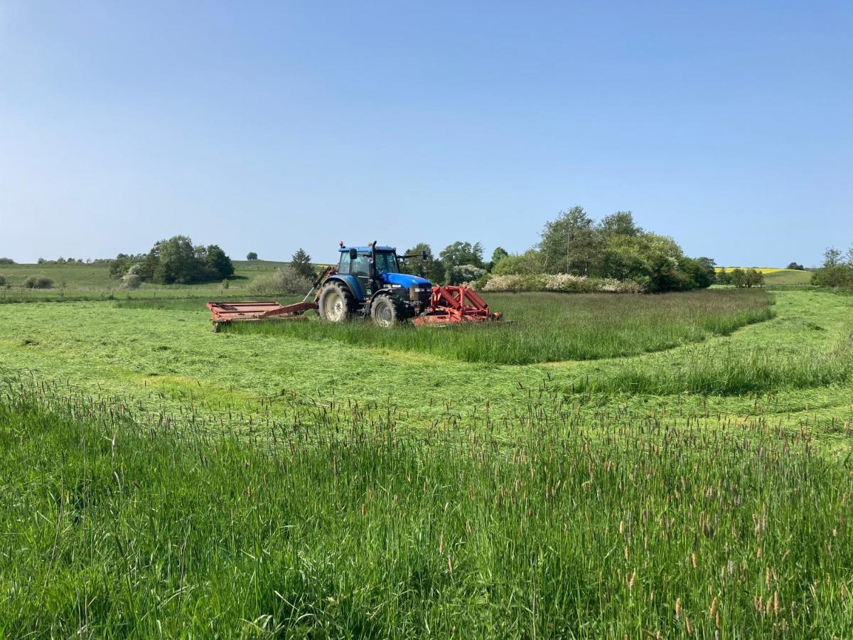 Vinkelgaard Leilighet Ringsted Eksteriør bilde